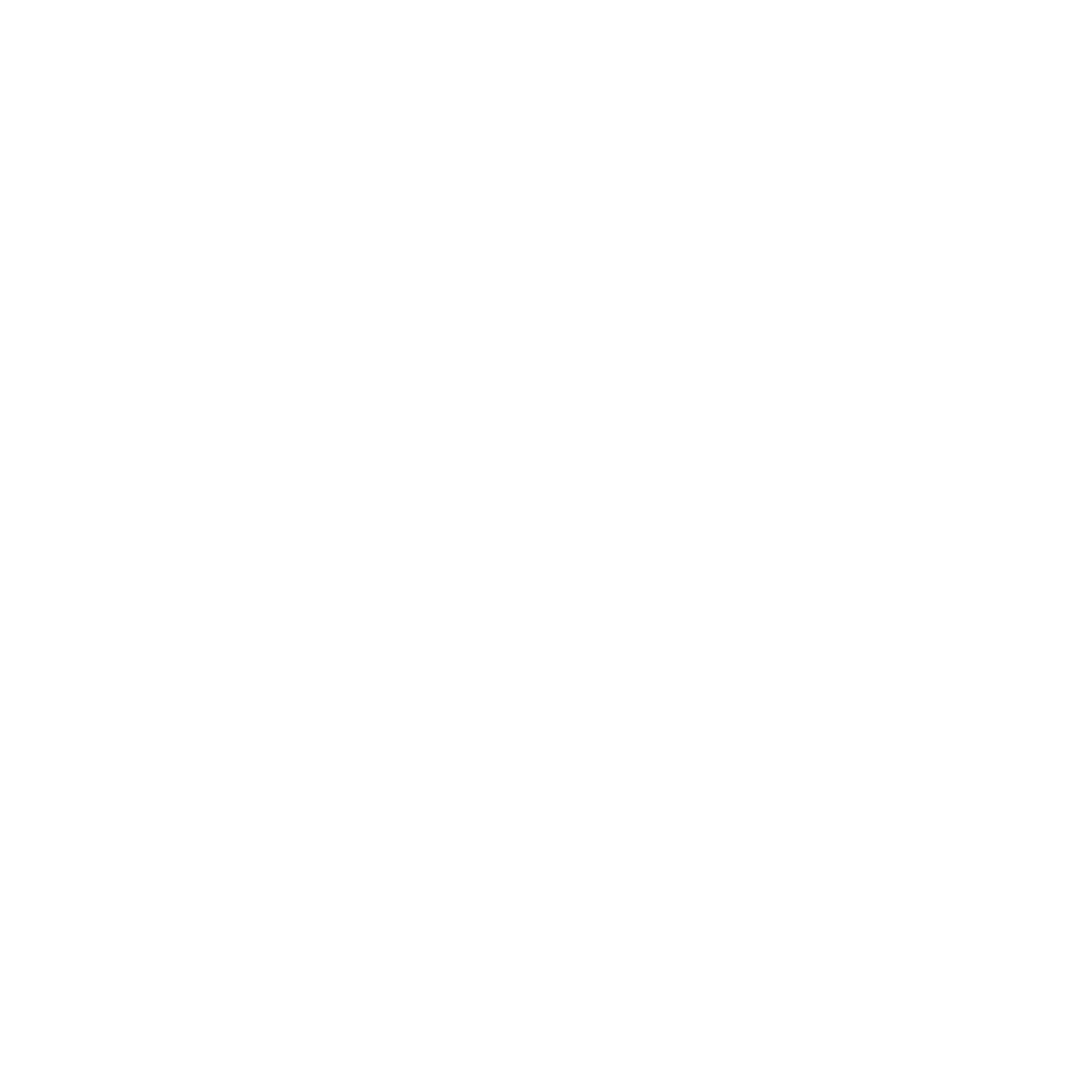 Proteção Veicular Caminhão - new Instagram logo white glyph